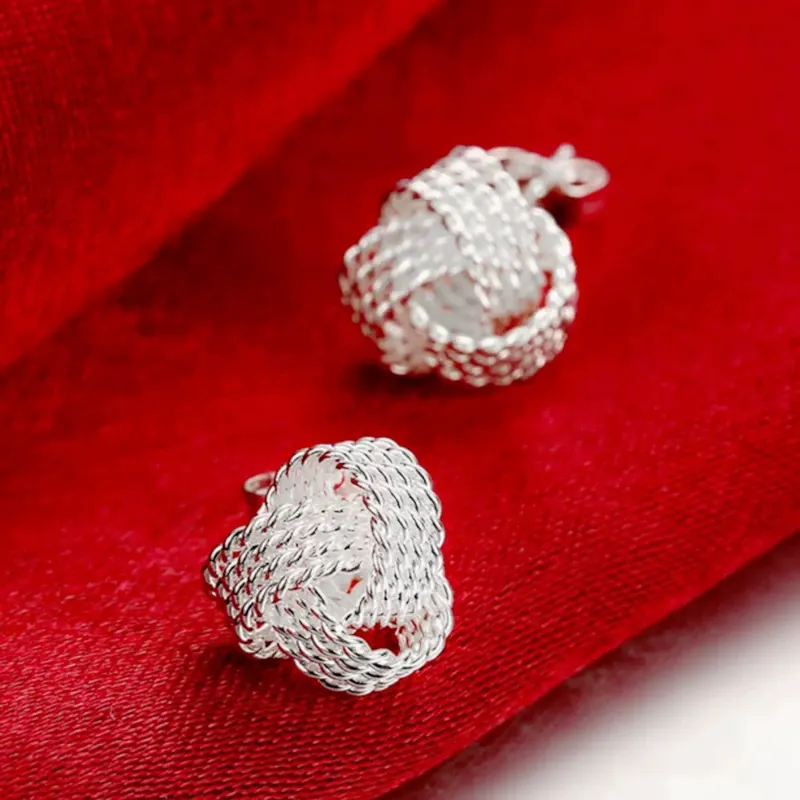Titanium Steel Mesh Stud Earrings Minimalist